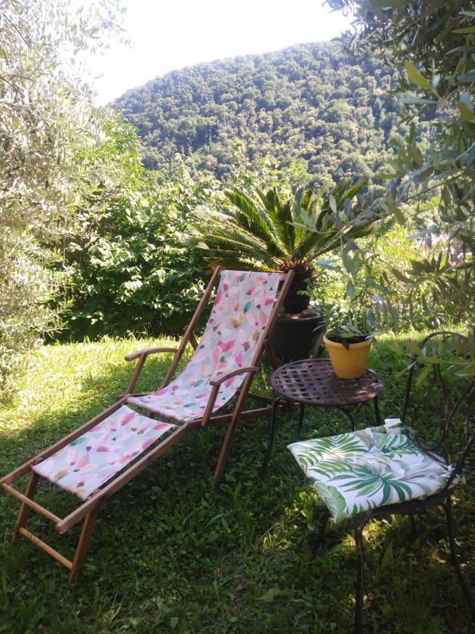 Poggio Del Sole Bed & Breakfast Bassano del Grappa Exterior foto